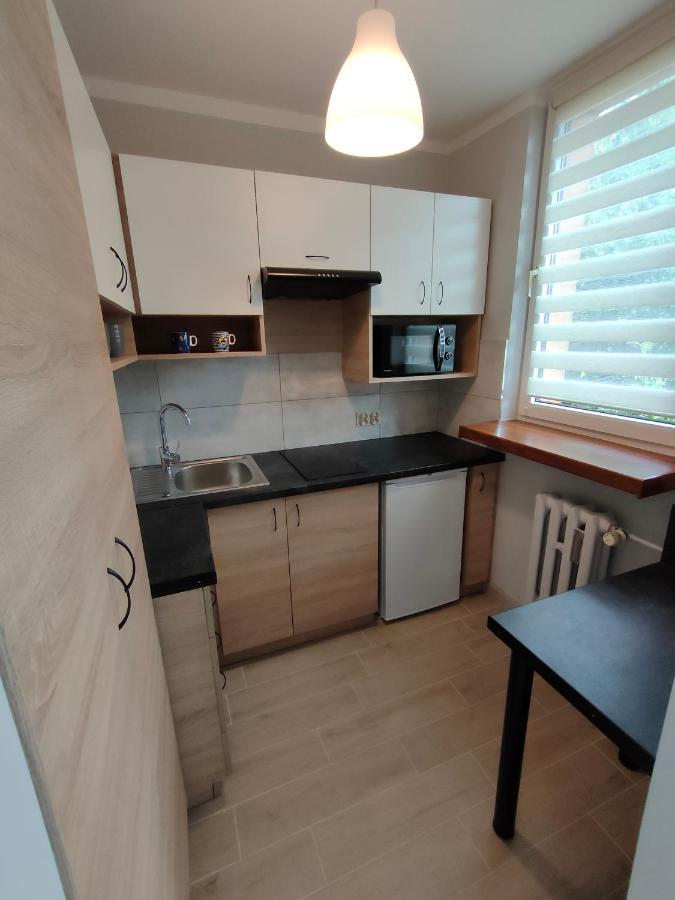 Apartament Cichy Kacik Zator Tylko 1Km Od Energylandii Ngoại thất bức ảnh
